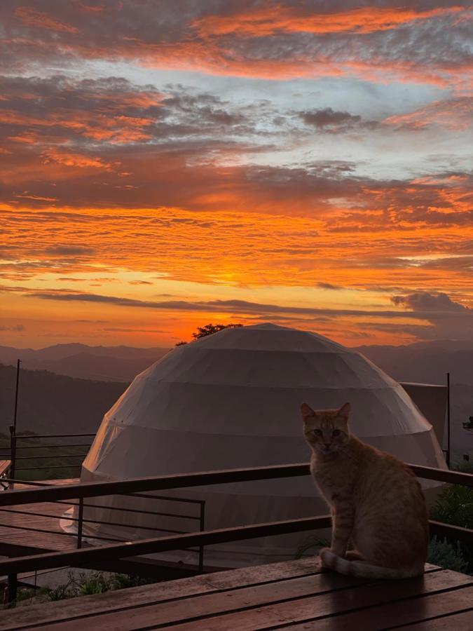 Hotel Kintiri Glamping Nicoya Exterior foto