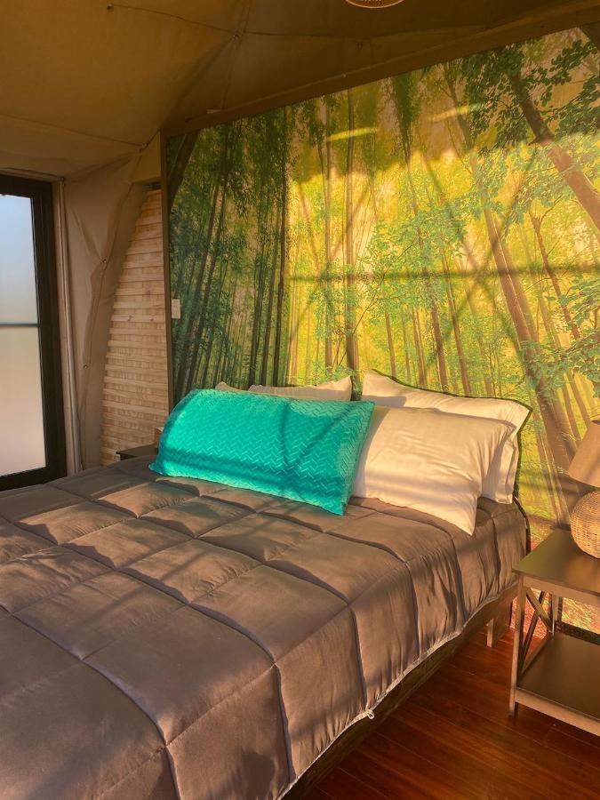 Hotel Kintiri Glamping Nicoya Exterior foto